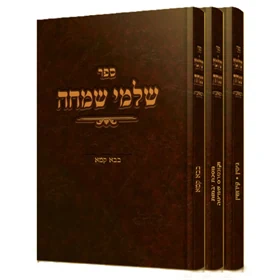 מבצע שלמי שמחה - 3 ב-100